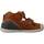 Παπούτσια Αγόρι Σανδάλια / Πέδιλα Biomecanics 222141B Brown