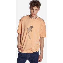 Υφασμάτινα Άνδρας T-shirts & Μπλούζες Brokers ΑΝΔΡΙΚΟ T-SHIRT Orange