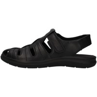 Παπούτσια Άνδρας Σανδάλια / Πέδιλα Enval 1713300 Black