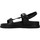 Παπούτσια Γυναίκα Σανδάλια / Πέδιλα Gioseppo 65917G Black