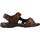 Παπούτσια Άνδρας Σανδάλια / Πέδιλα Fluchos F1201 Brown