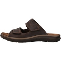 Παπούτσια Άνδρας Σανδάλια / Πέδιλα Enval 1713111 Brown