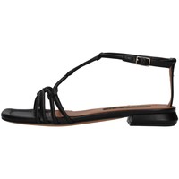 Παπούτσια Γυναίκα Σανδάλια / Πέδιλα Albano A3001 Black