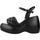 Παπούτσια Γυναίκα Σανδάλια / Πέδιλα Elvio Zanon EQ5905X Black