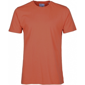 Υφασμάτινα T-shirts & Μπλούζες Colorful Standard T-shirt  Classic Organic dark amber Red