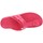 Παπούτσια Γυναίκα Σανδάλια / Πέδιλα Scholl  Ροζ