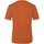 Υφασμάτινα Άνδρας T-shirts & Μπλούζες Salewa Pure Dolomites Hemp Men's T-Shirt 28329-4170 Orange