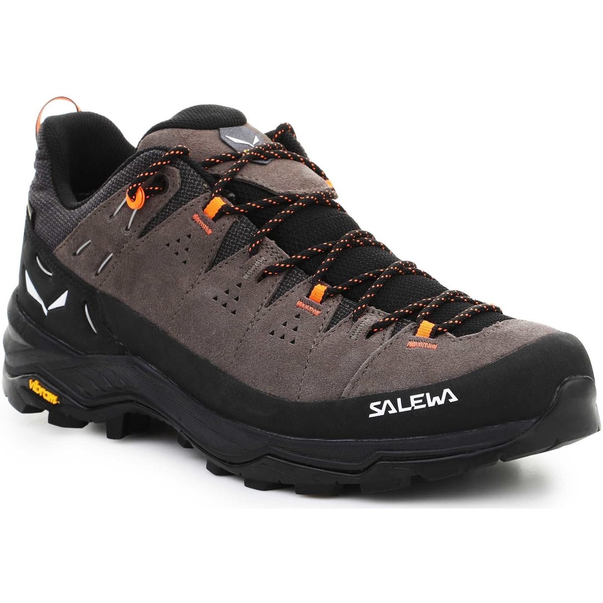 Πεζοπορίας Salewa Alp Trainer 2 Gore-Tex® Men’s Shoe 61400-7953 Δέρμα