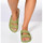 Παπούτσια Γυναίκα Σανδάλια / Πέδιλα Cacatoès Belo horizonte Green