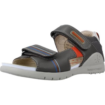 Παπούτσια Αγόρι Σανδάλια / Πέδιλα Biomecanics 212191 Grey