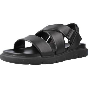 Παπούτσια Άνδρας Σανδάλια / Πέδιλα Stonefly HYDRA 3 NAPPA LTH Black