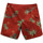 Υφασμάτινα Άνδρας Μαγιώ / shorts για την παραλία Vans Mixed boardshort ii Red