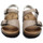 Παπούτσια Παιδί Σανδάλια / Πέδιλα Pastelle Elroy Beige