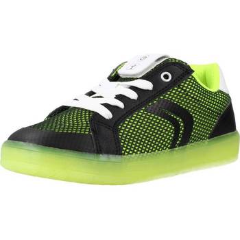 Παπούτσια Αγόρι Χαμηλά Sneakers Geox J KOMM0DOR BOY A Green