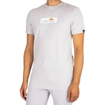 Υφασμάτινα Άνδρας T-shirt με κοντά μανίκια Ellesse 192423 Grey