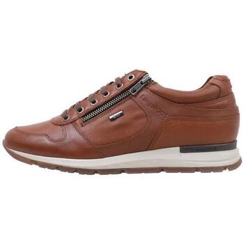 Παπούτσια Άνδρας Χαμηλά Sneakers Kangaroos 302 Brown