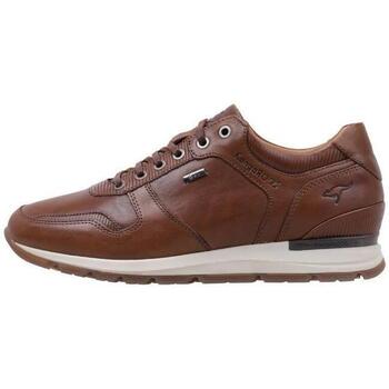 Παπούτσια Άνδρας Χαμηλά Sneakers Kangaroos 301 Brown