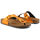 Παπούτσια Γυναίκα Σαγιονάρες Scholl - greeny-f28057 Orange