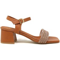 Παπούτσια Γυναίκα Σανδάλια / Πέδιλα Grace Shoes 220638 Brown