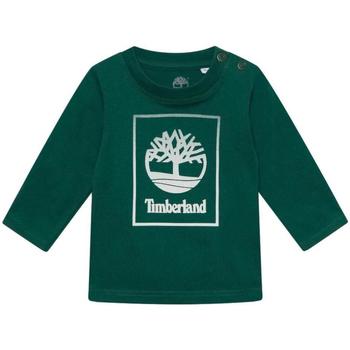 Υφασμάτινα Αγόρι T-shirt με κοντά μανίκια Timberland  Green