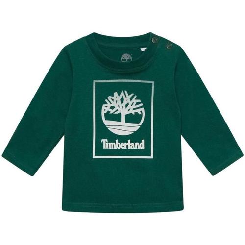 Υφασμάτινα Αγόρι T-shirt με κοντά μανίκια Timberland  Green
