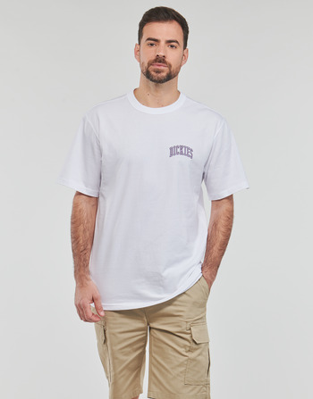 Dickies AITKIN CHEST TEE SS