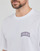 Υφασμάτινα Άνδρας T-shirt με κοντά μανίκια Dickies AITKIN CHEST TEE SS Άσπρο
