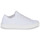 Παπούτσια Γυναίκα Χαμηλά Sneakers UGG W ALAMEDA GRAPHIC KNIT Άσπρο