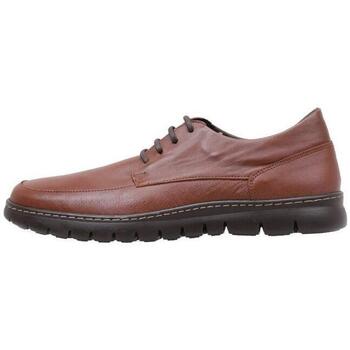 Παπούτσια Άνδρας Derby & Richelieu Cossimo 2200 Brown