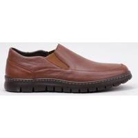 Παπούτσια Άνδρας Derby & Richelieu Cossimo 2201 Brown