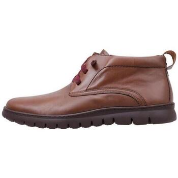 Παπούτσια Άνδρας Μπότες Cossimo 13010 Brown
