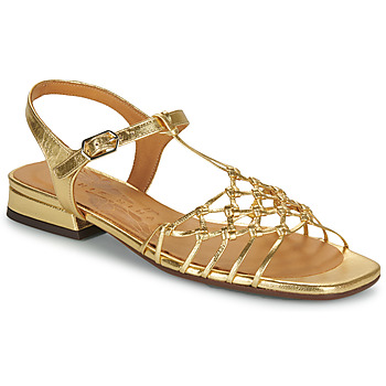 Παπούτσια Γυναίκα Σανδάλια / Πέδιλα Chie Mihara TANTE Gold