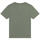 Υφασμάτινα Αγόρι T-shirt με κοντά μανίκια Timberland T25T87 Kaki