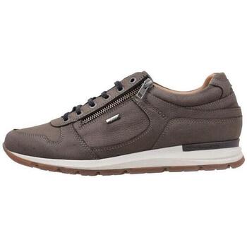 Παπούτσια Άνδρας Χαμηλά Sneakers Kangaroos 302 Grey