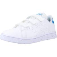 Παπούτσια Αγόρι Χαμηλά Sneakers adidas Originals ADVANTAGE CF C Άσπρο