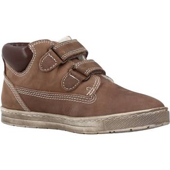 Chicco CLAY Brown