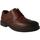 Παπούτσια Άνδρας Derby & Richelieu Comfort  Brown