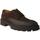 Παπούτσια Άνδρας Derby & Richelieu Calce  Brown
