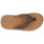Παπούτσια Άνδρας Σαγιονάρες Cool shoe CLOUD Beige / Brown