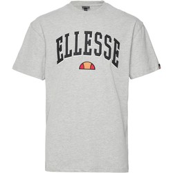 Υφασμάτινα Άνδρας T-shirt με κοντά μανίκια Ellesse 199496 Grey