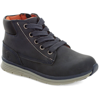 Παπούτσια Αγόρι Μπότες Lumberjack Alvis (SB65001-003 P86-M0014) Μπλε