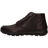 Παπούτσια Άνδρας Ψηλά Sneakers Enval 2707811 Brown
