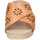 Παπούτσια Γυναίκα Σανδάλια / Πέδιλα Pollini BE332 Brown