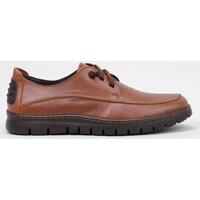 Παπούτσια Άνδρας Derby & Richelieu Cossimo 13014 Brown