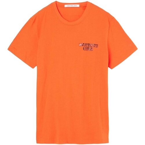 Υφασμάτινα Άνδρας T-shirt με κοντά μανίκια Calvin Klein Jeans J30J321772 Orange