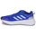Παπούτσια Άνδρας Τρέξιμο adidas Performance QUESTAR Μπλέ / Άσπρο