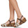 Παπούτσια Γυναίκα Σανδάλια / Πέδιλα Plakton SO KIMBO Brown