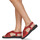 Παπούτσια Γυναίκα Σανδάλια / Πέδιλα Papucei WILKIE Red