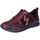 Παπούτσια Γυναίκα Sneakers Gattinoni BE521 Bordeaux