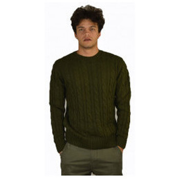 Υφασμάτινα Άνδρας T-shirts & Μπλούζες Landek Maglione trecce Green